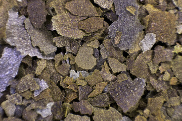 Dry spirulina algae flakes seafood for aquarium fish food, ornamental fish food
