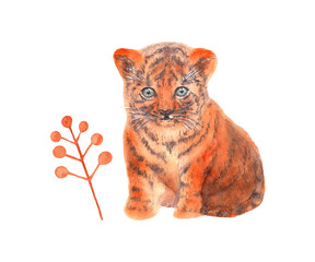Tiger cub and autumn branches, isolated on a white background. Tiger painted in watercolor by hand. Watercolor set of illustrations.