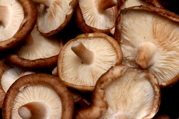 group of shiitake mushrooms, shitake texture, mushroom ingredients - obrazy, fototapety, plakaty