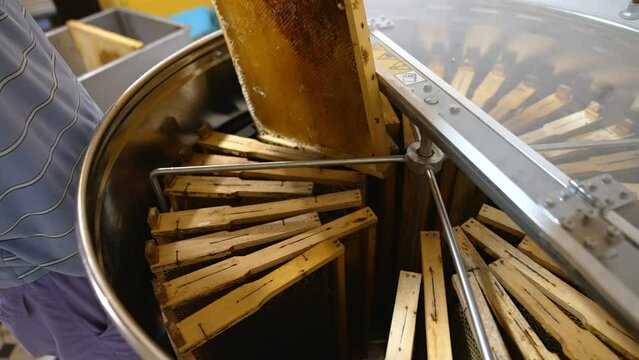 Metal tank with centrifuge inside for extracting honey from honeycombs. Man puts frames side by side into the bin. Close up.
