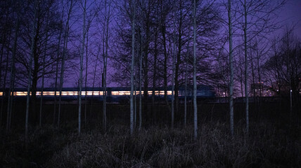 the train is traveling at a mystical sunset