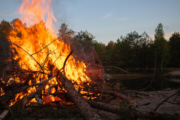 fire in the forest by the lake