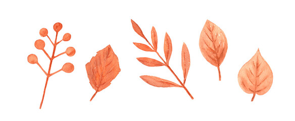 A set of autumn branches and leaveson a white background. The illustrations are hand painted in watercolor. Set of watercolor illustrations.