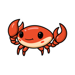 Cute little orange crab cartoon