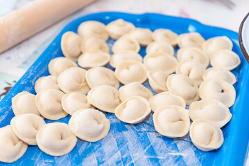 Raw dumplings on a plate. Russian traditional cuisine. Dough with meat. Home kitchen. Cook food...