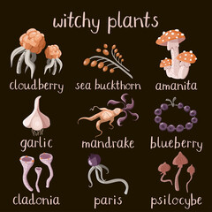 Set of witchy magic plants and mushrooms on a dark background