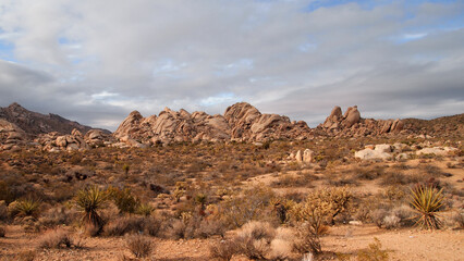 Mojave desert amazing rock formation 