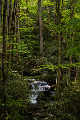 Cascade Along Jakes Creek In Great Smoky Mountains © kellyvandellen
