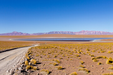 Bolivian lagoon view,Bolivia