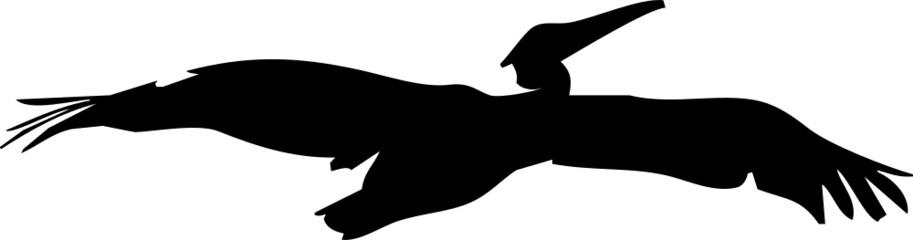 Oiseau en vol, vecteur noir et fond transparent 