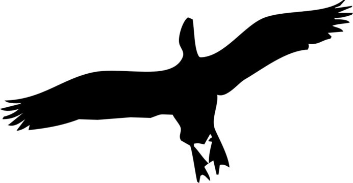 Oiseau en vol, noir sur fond transparent 