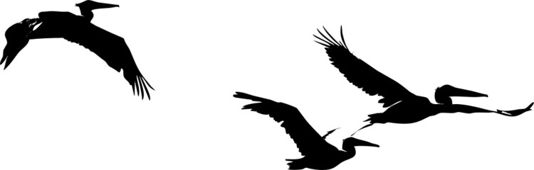 Oiseaux migrateurs volant dans le ciel- vecteur noir avec fond transparent à personnaliser ou utiliser tel quel. 