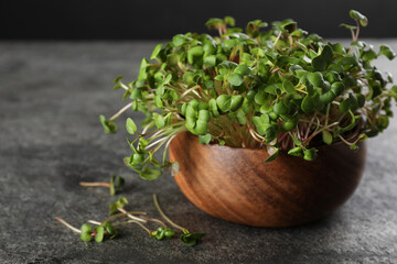 Fresh radish microgreens in bowl on grey table, space for text