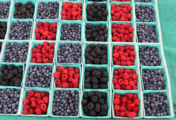 containers of berries 