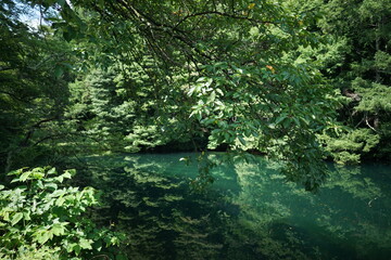 水面に木々の緑が映る平出の泉