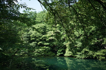 水面に木々の緑が映る平出の泉