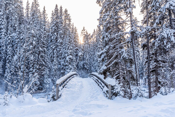 Footbridge over Toby Creek near Invermere in Kootenay National Park, British Columbia, Canada