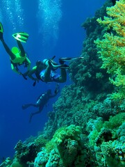 Fototapeta na wymiar diver and reef