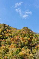 おだやかな渓谷