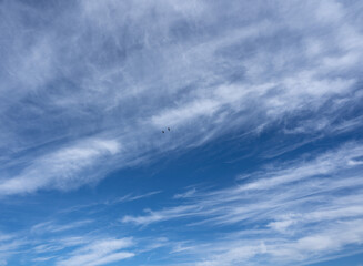 Fototapeta premium Blue sky with cirrus clouds and two flying geese