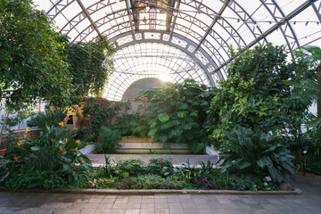 Winter garden orangery interior with evergreen tropical plants and monstera growing inside. Greenhouse with deciduous flora covered with green leaves under glass roof. Old glasshouse, botanical garden - obrazy, fototapety, plakaty
