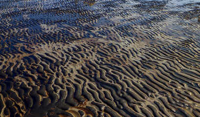 Crude Oil sludge contaminating on sea beach at Rayong, Thailand. Environment pollution concept