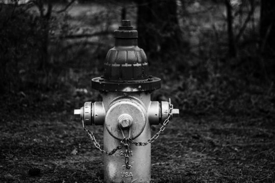 Black And White Fire Hydrant 