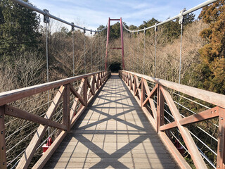 bridge over the river