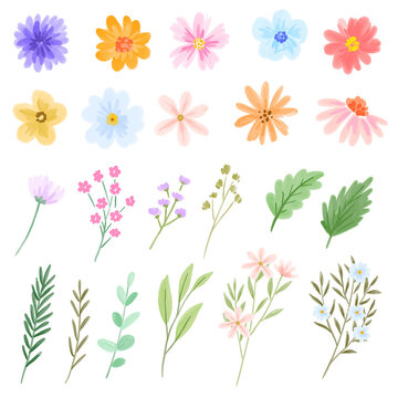 watercolor flower and leaf clipart set