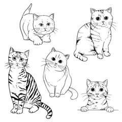 Collection of cute cats hand drawn with contour lines on white background. Monochrome vector illustration.