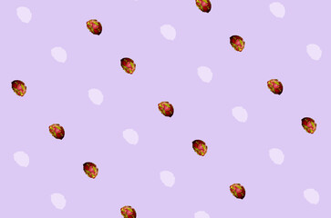Colorful pattern of fresh dragon fruit on purple background. Pitaya. Top view. Flat lay. Pop art design