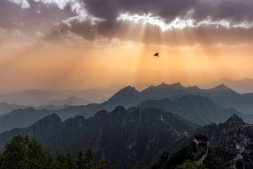 Sierkussen Een kraai die over de Grote Muur van China vliegt bij zonsondergang in Jiankou, in de buurt van Peking, China © Cerratin/Wirestock