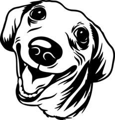 Dachshund - Funny Dog, Vector File, Stencil for Tshirt