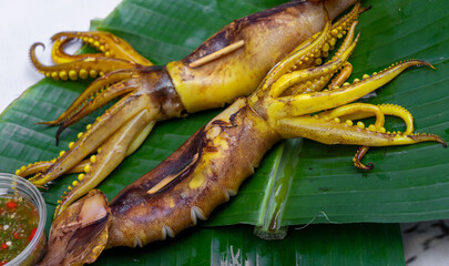 Grilled Squid Selections 