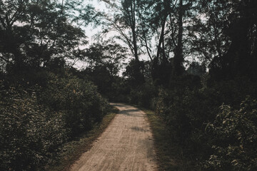 Obraz premium sunset in the park