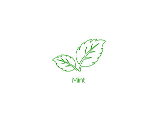 mint spices icon vector illustration 