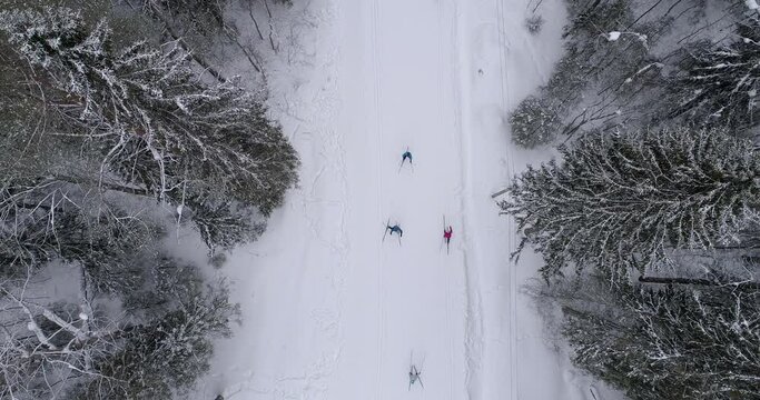 Aerial view of ski resort with people. Flying over the ski track on white snow surrounded by dense forest in winter season. Travel and sport