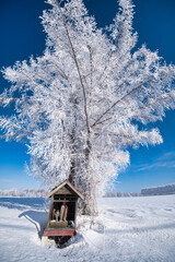 霧氷とお地蔵様