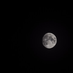 Moon Timelapse, Stock time lapse : Full moon rise in dark nature sky, night time. Full moon disk time lapse with moon light up in night dark black sky. High-quality free video footage or timelapse