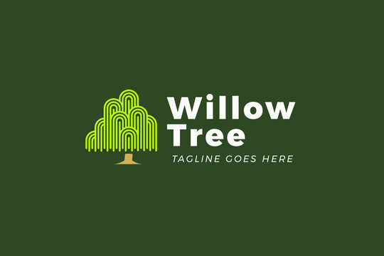 Simple Minimalist Willow Tree Logo Template for Your Business