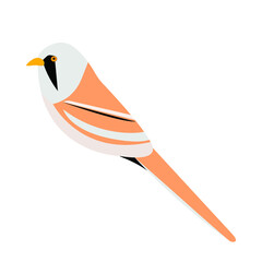 Bearded reedling tit (Panurus biarmicus) isolated on white. Vector stock illustration