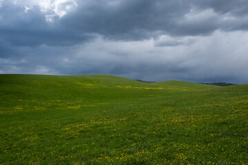 Mountain valley with blooming flowers in spring season.