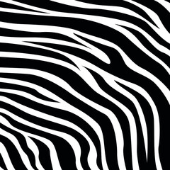 Trendy zebra skin pattern background vector. Animal fur, vector background for Fabric design, wrapping paper, textile and wallpaper.
