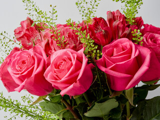 bouquet of blooming dark red roses on a white background