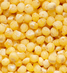 Close-up of millet groats as background.