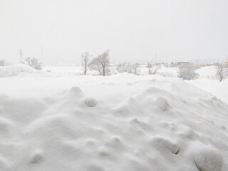 Viewing a snowfield from behind a lump of fallen snow (Kutchan, Hokkaido, Japan)