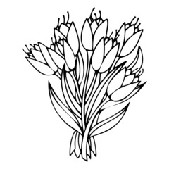 Doodle vector bouquet of tulips for March 8, Valentine's Day, Mother's Day, wedding, love and romantic events of the Heart of the hand.