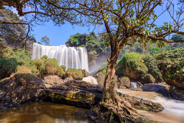 Obraz premium Landscape photo film: Elephants waterfall. Time: Saturday, January 22, 2022. Location: district Lam Ha, Lam Dong province. This is a beautiful waterfall in Vietnam.