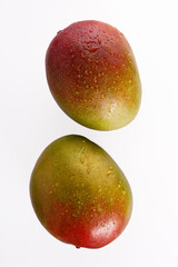 juicy delicious mango with water drops on a white background