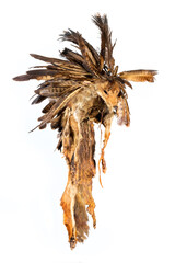 Replica of an old bonnet made of fox fur and buzzard feathers from the North American Indians